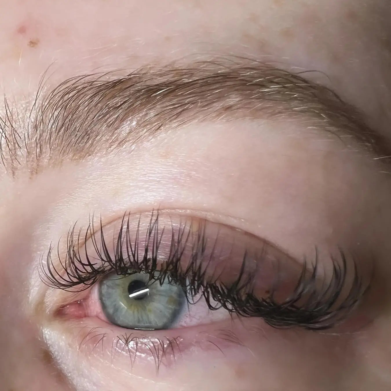 0.10MM Classic Lash Extensions (Silk Black) SEERBEAUTY