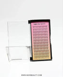 10D Premade Volume Fans Lashes 12 Rows 120 Fans (Pointy Base) seerbeauty