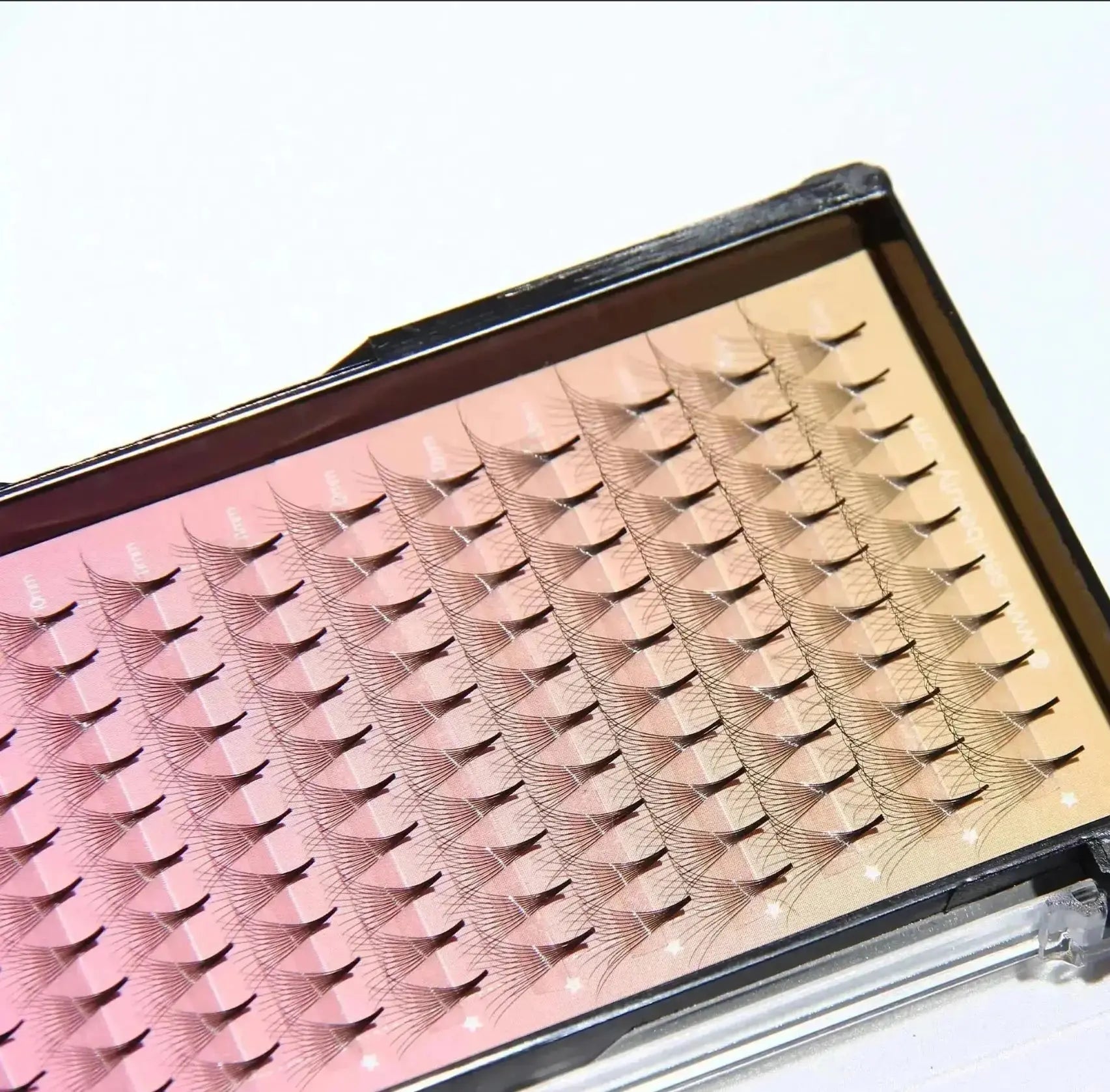 10D Premade Volume Fans Lashes 12 Rows 120 Fans (Pointy Base) seerbeauty