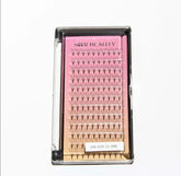 14D Premade Volume Fans Lashes 12 Rows 120 Fans (Pointy Base) seerbeauty