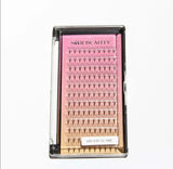 14D Premade Volume Fans Lashes 12 Rows 120 Fans (Pointy Base) seerbeauty