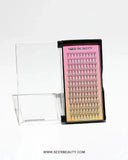 6D Premade Volume Fans Lashes 12 Rows 120 Fans (Pointy Base) seerbeauty
