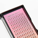 5D Premade Volume Fans Lashes 12 Rows 120 Fans (Pointy Base) seerbeauty
