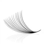 16D VOLUME PROMADE FANS ( 800FANS ) seerbeauty