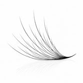 16D WISPY PROMADE FANS ( 800FANS ) seerbeauty