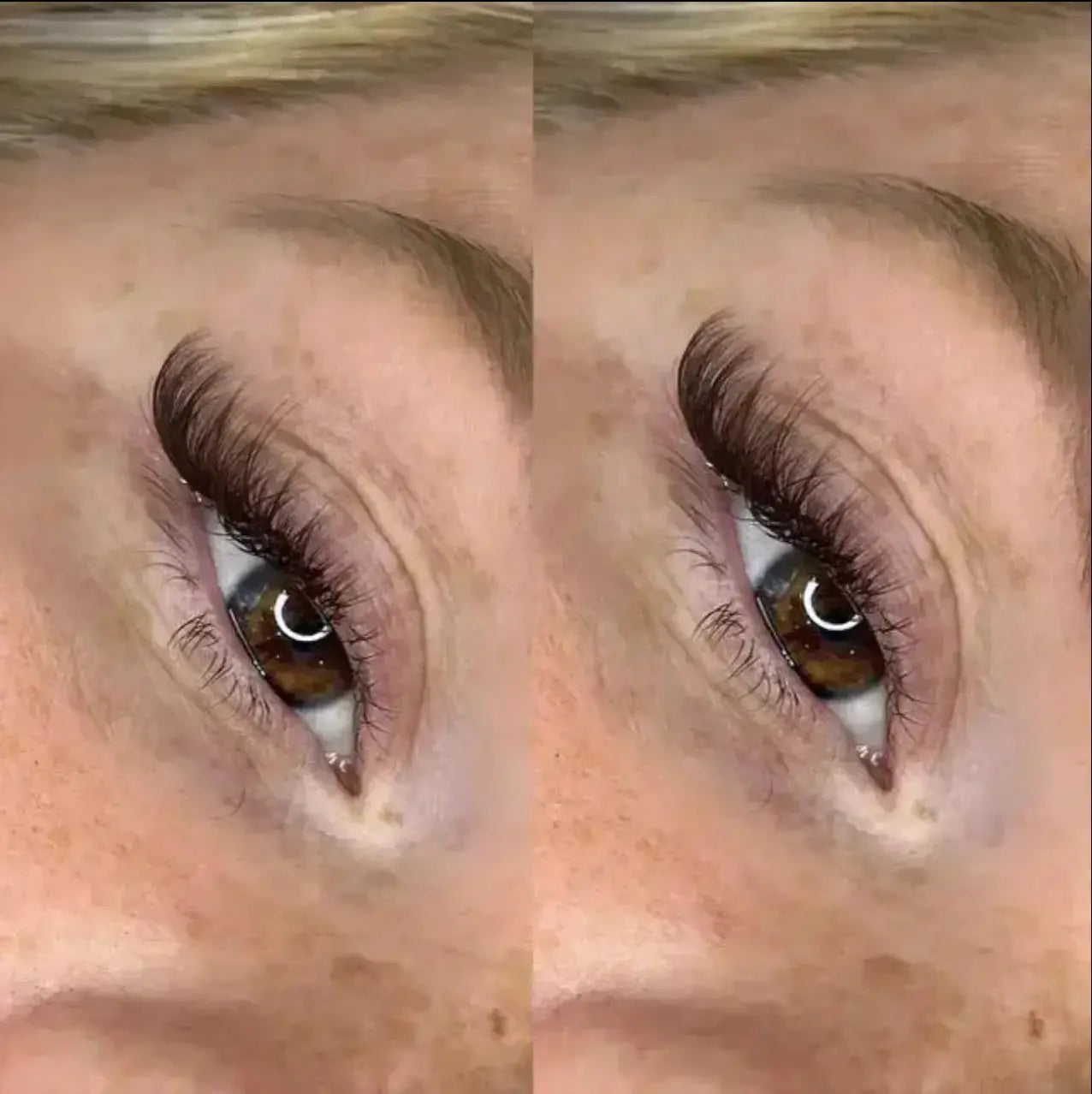 Black Brown Eyelash Extensions seerbeauty