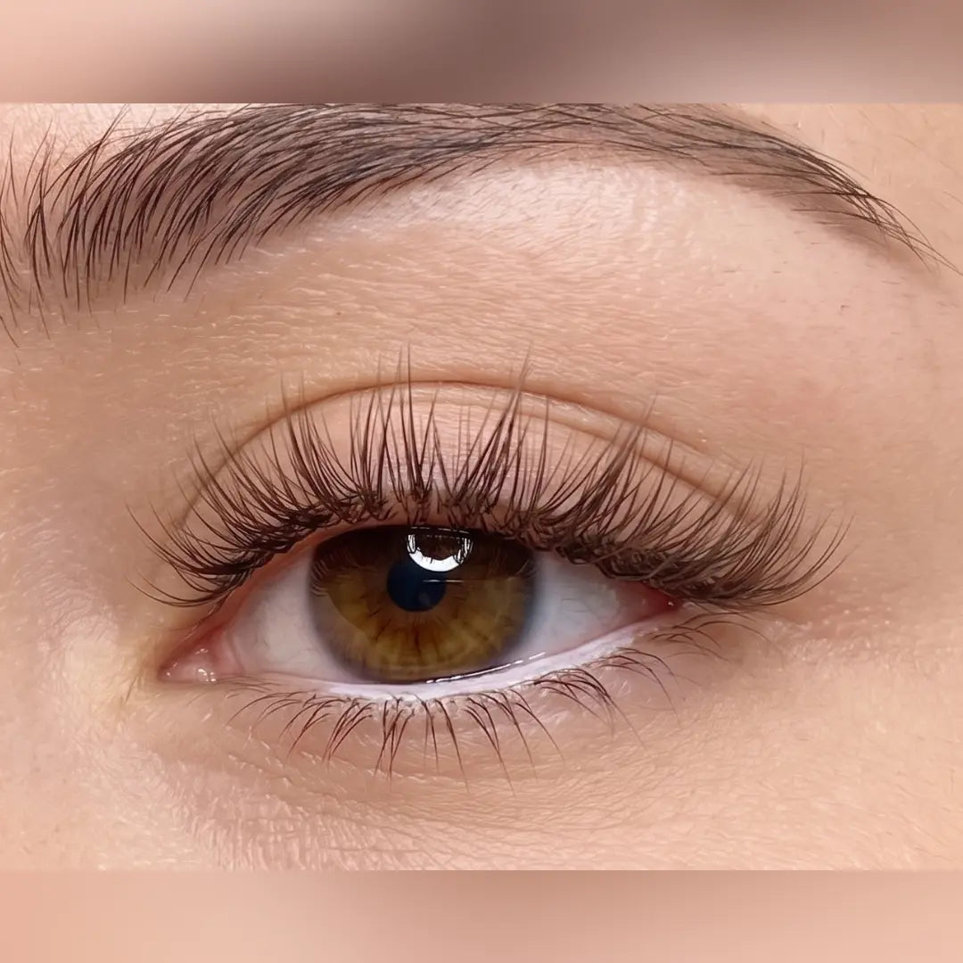 Black Brown Eyelash Extensions seerbeauty