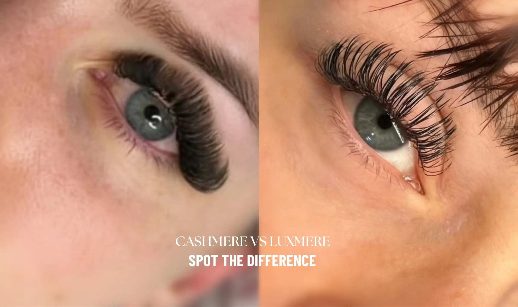 Cashmere vs Luxmere Lashes: What’s the Real Difference?