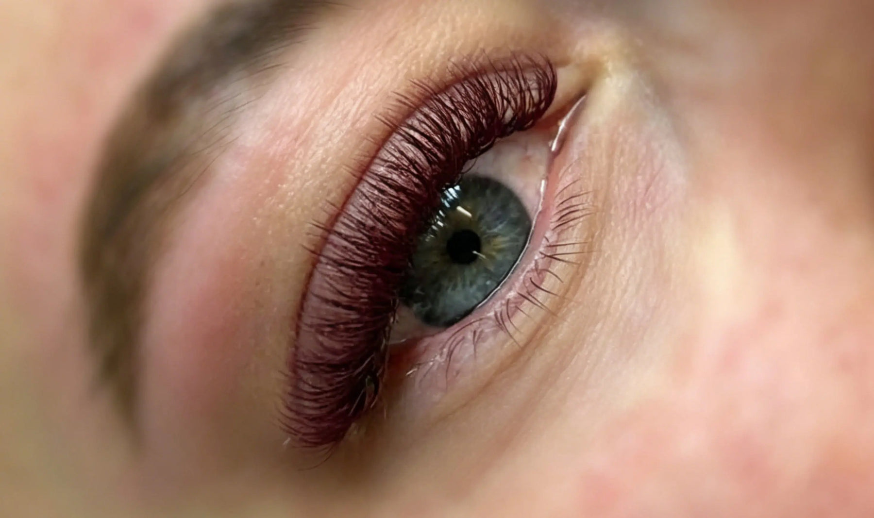 How Burgundy Lash Sets Look on Clients