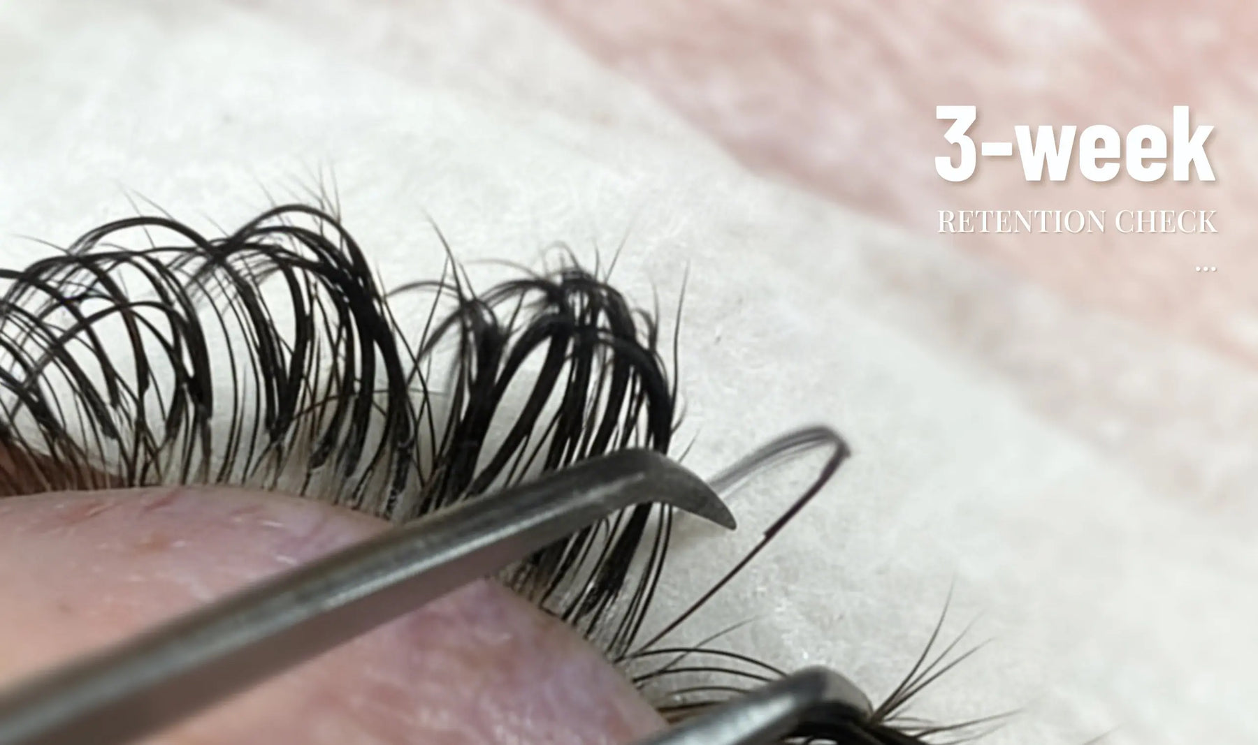 How to Tell If Your Lash Glue