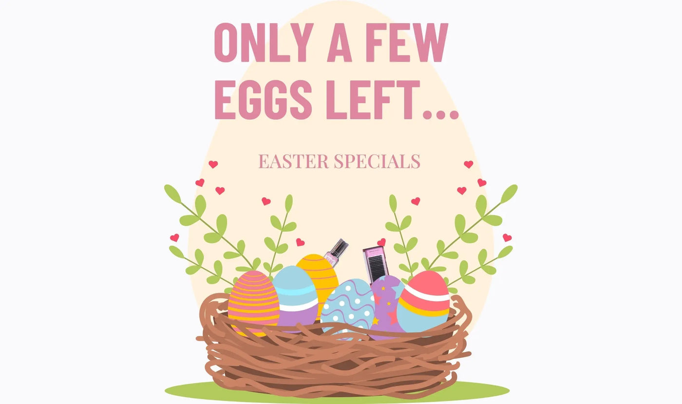 Last Chance: 50% OFF Ends Soon