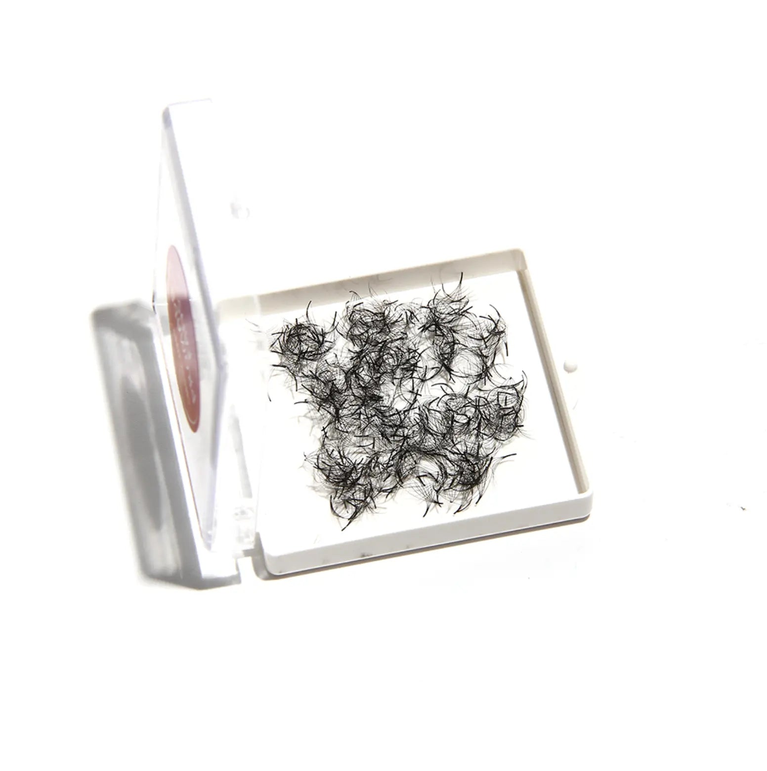 12D VOLUME PROMADE FANS ( 500FANS ) seerbeauty