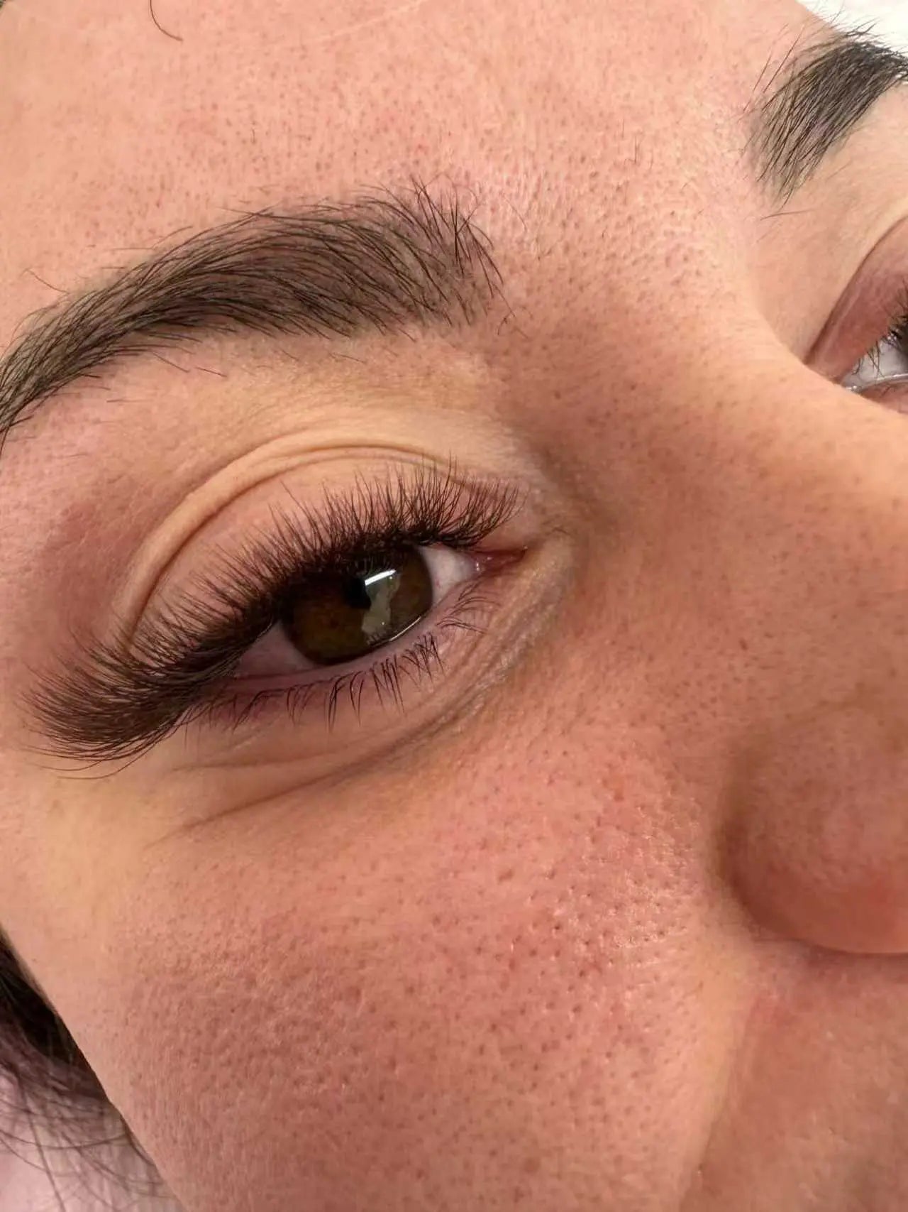 Brown 3D W-SHAPE LASHES ( Clover Lash ) Redberry