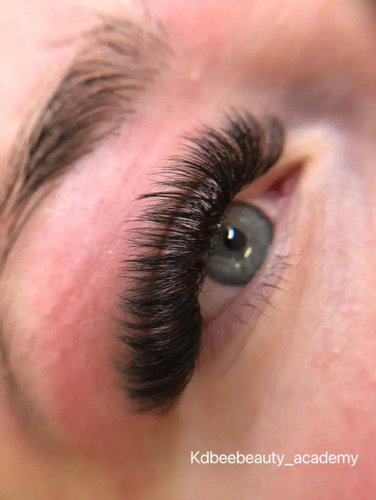 0.05MM Volume Lash Extensions ( Luxmere ) SEERBEAUTY